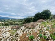 Filippos Schönes Grundstück zum Verkauf im Dorf Filippos, Kreta Grundstück kaufen